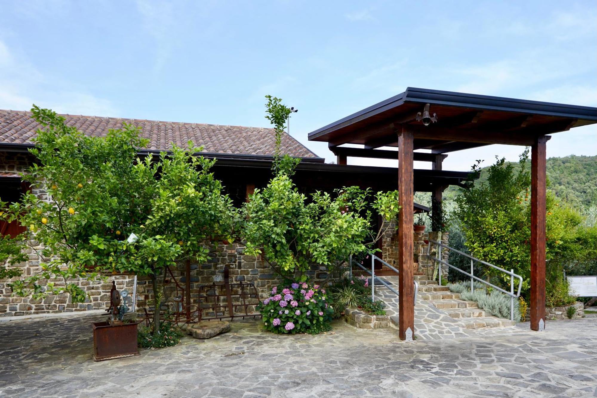 Il Vecchio Frantoio Villa Stella Cilento Exterior photo