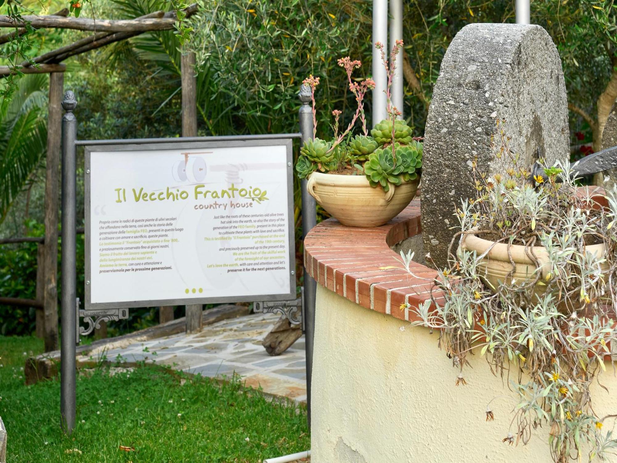 Il Vecchio Frantoio Villa Stella Cilento Exterior photo