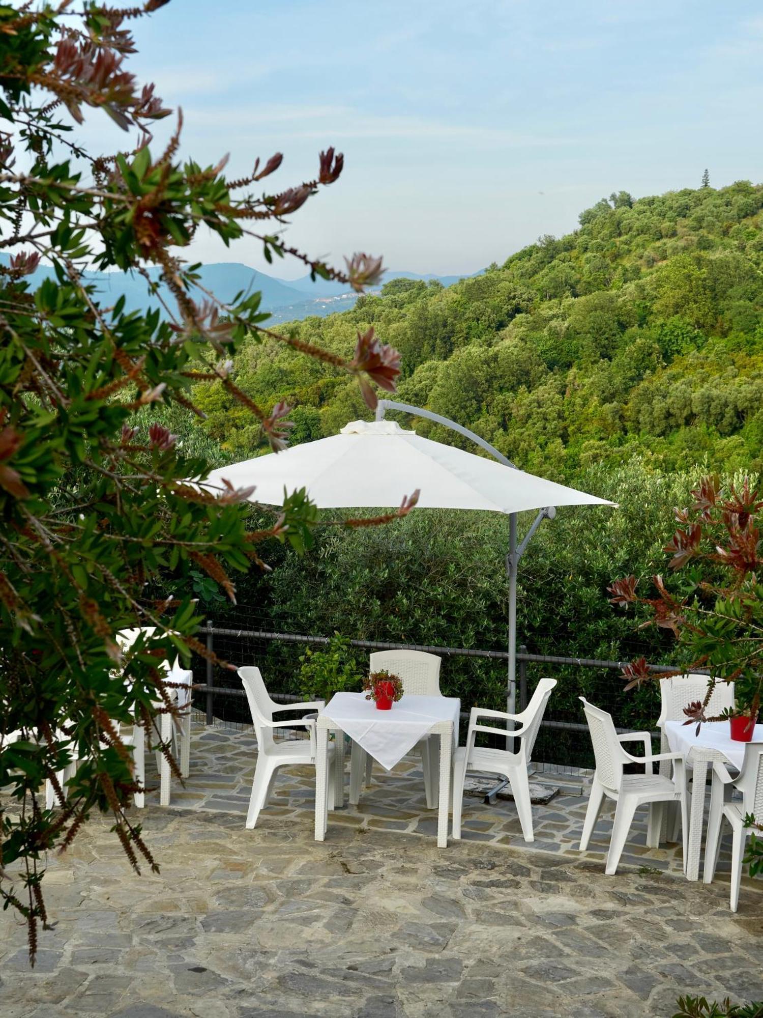 Il Vecchio Frantoio Villa Stella Cilento Exterior photo