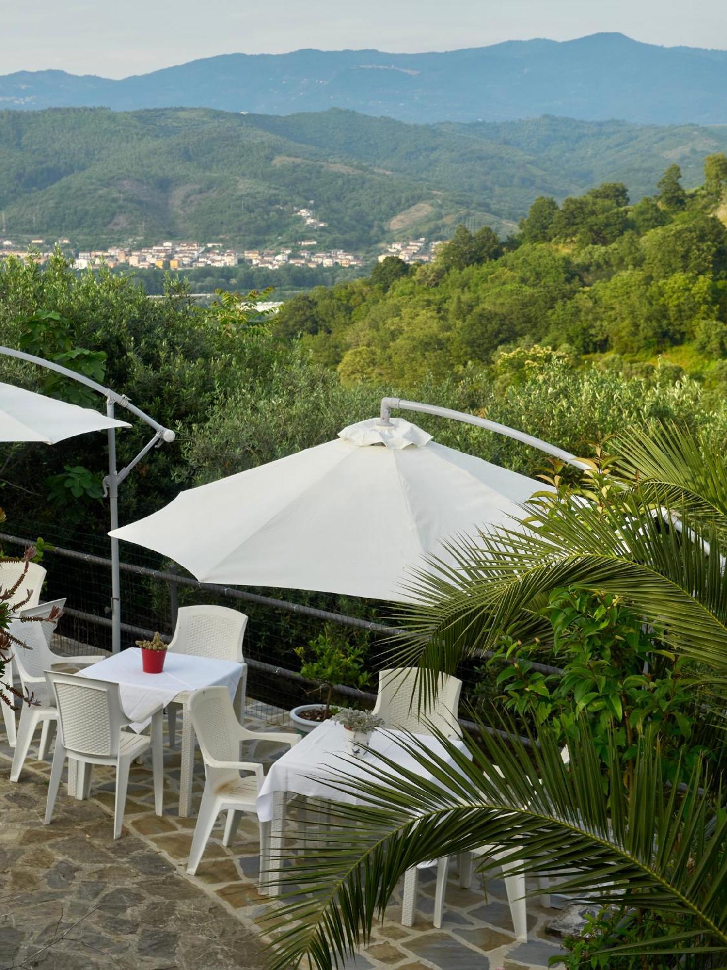 Il Vecchio Frantoio Villa Stella Cilento Exterior photo